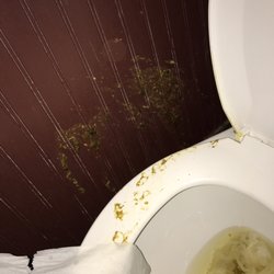 Bubbas Bubbles - This is the amazingly old and dried human shit. It's also in the ground. Truly incredible.