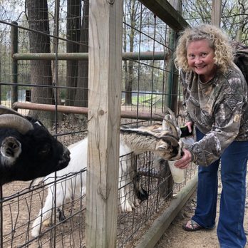 Gators & Friends - Pigmy Goats - Amusement Parks Near Me - Greenwood, Louisiana Gators & Friends - Pigmy Goats - Amusement Parks Near Me - Greenwood, Louisiana