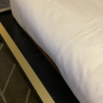 Kimpton Brice Hotel - Debris on bed - Hotels Near Me - Savannah, Georgia Kimpton Brice Hotel - Debris on bed - Hotels Near Me - Savannah, Georgia