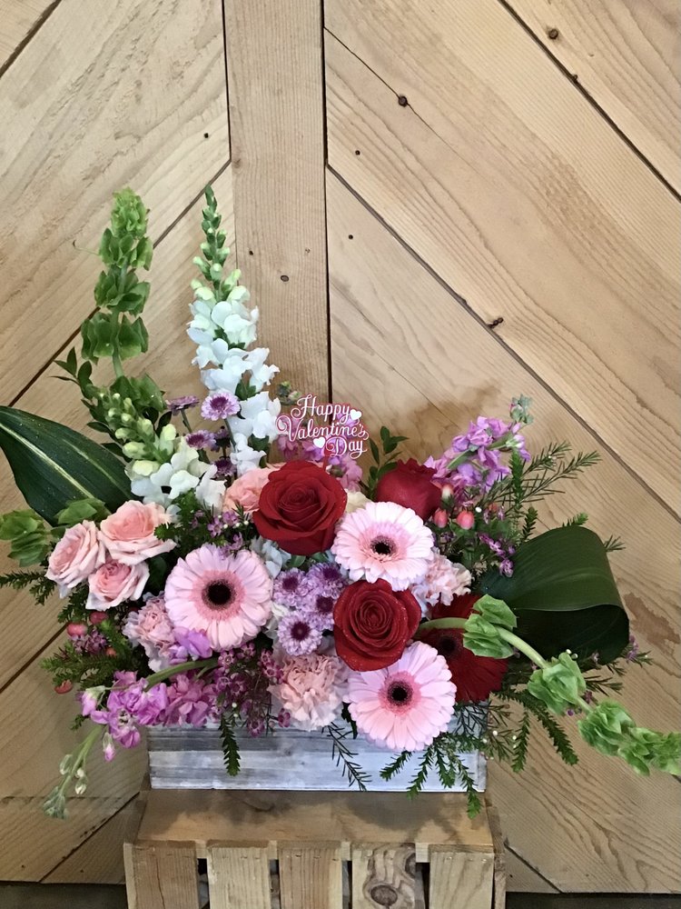 SPRINGLOOK LANDSCAPING & IRRIGATION Updated August 2024 11 Photos