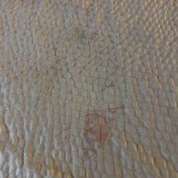 Red Roof Inn Morehead - Stains on bed cover.