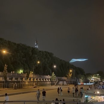 Vedettes du Pont Neuf - Our fireworks view - Boat Charters Near Me - Paris, 75