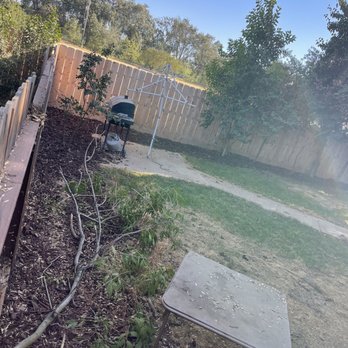 Ag Cuts - Branch left in neighbors back yard - Tree Services Near Me