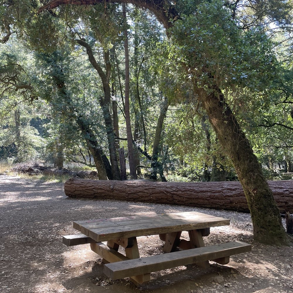 Cataract Falls Trail - The top of the trail where other trails intersect. Great spot to absorb and take a refreshment/breather. - Hiking Near Me Cataract Falls Trail - The top of the trail where other trails intersect. Great spot to absorb and take a refreshment/breather. - Hiking Near Me