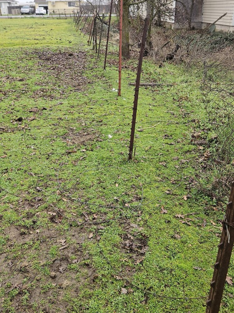 Slide of Mike Walker Lumber