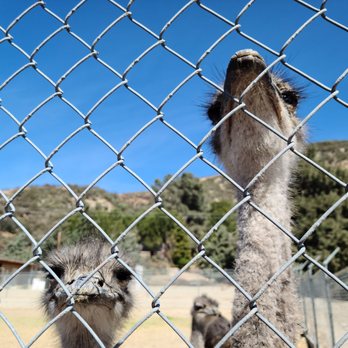 Quail Run Ranch - Tours Near Me - Lake Hughes, California Quail Run Ranch - Tours Near Me - Lake Hughes, California