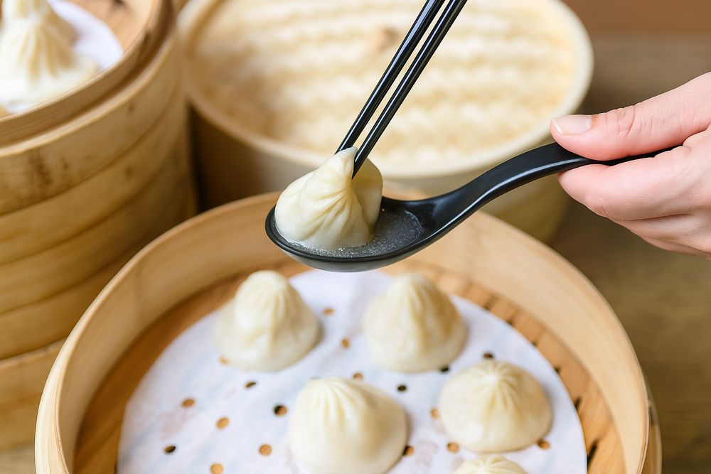 Dough Zone Dumpling House Logo