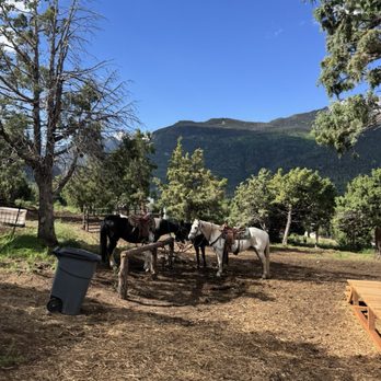 Action Adventures Trail Rides - Horseback Riding Near Me - Ouray, Colorado