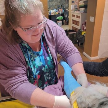 Manitou Hill Veterinary Practice - Veterinarians Near Me - Rochester, New York Manitou Hill Veterinary Practice - Veterinarians Near Me - Rochester, New York