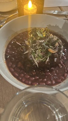 asterid by Ray Garcia by null