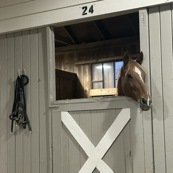 Piedmont Stables - indoor stalls - Horseback Riding Near Me - Oakland, California Piedmont Stables - indoor stalls - Horseback Riding Near Me - Oakland, California