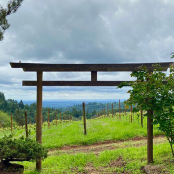 Torii Mor Winery - Overlooking their estate vineyard - Wine Tasting Room Near Me - Dundee, Oregon Torii Mor Winery - Overlooking their estate vineyard - Wine Tasting Room Near Me - Dundee, Oregon