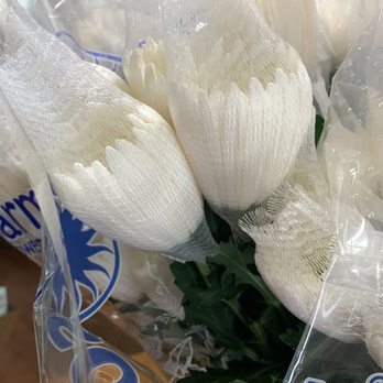 Botanica Wholesale Florist - Florists Near Me - Irving, Texas
