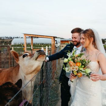 Fox Point Farms - Venues & Event Spaces Near Me - Encinitas, California Fox Point Farms - Venues & Event Spaces Near Me - Encinitas, California