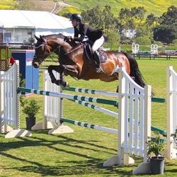 Cheval Training Stables