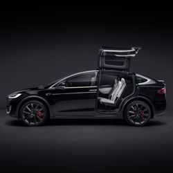 Rob's Rides - Tesla Model X, Chauffeur service, 7 passengers