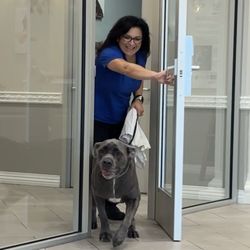 K9 Resorts Luxury Pet Hotel