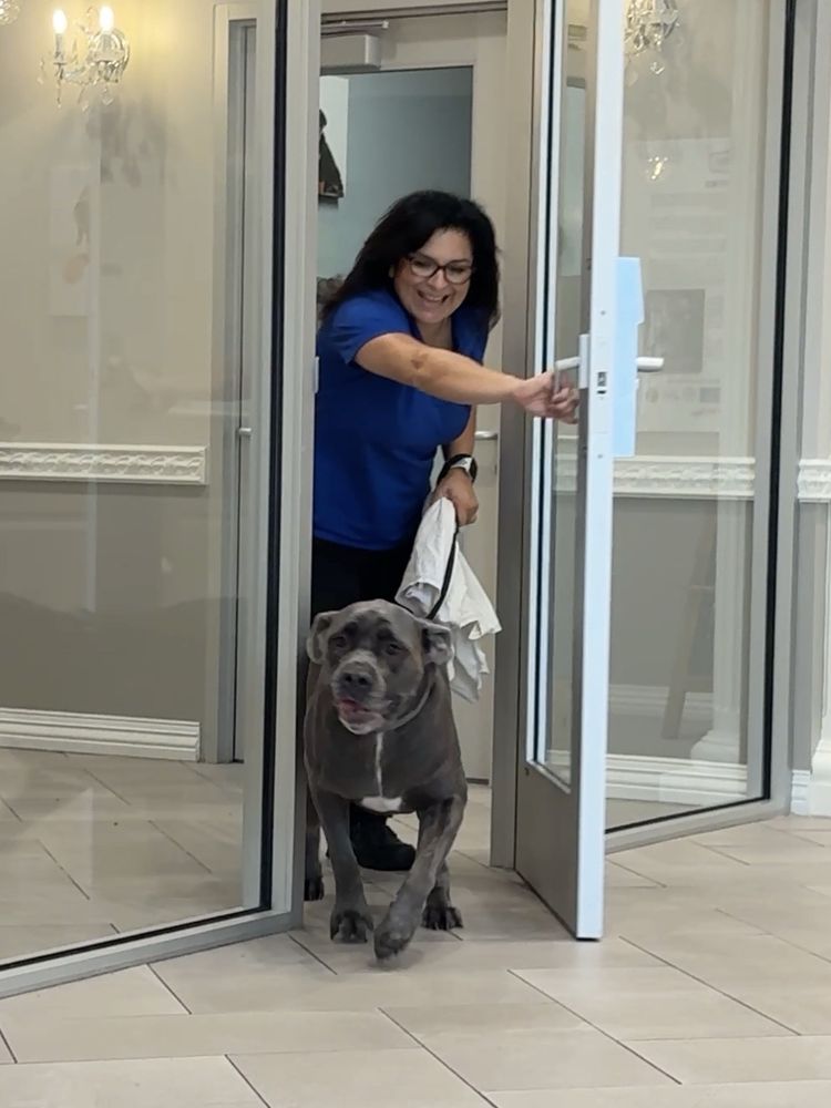 K9 Resorts Luxury Pet Hotel - pet boarding facility in Plano, TX