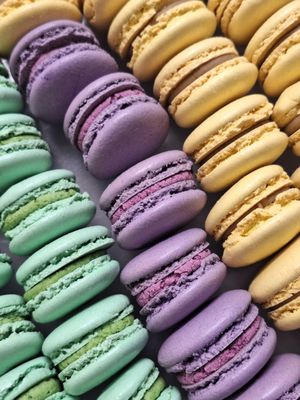 Camellia | Vegan Patisserie by null