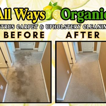 All Ways Organic - Pet urine stain and odor removal - Carpet Cleaning Near Me
