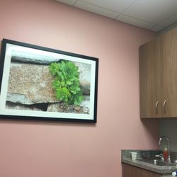 Institute for Women's Health - Lincoln Heights - Vagina art lol