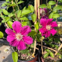 Herb Creek Landscape Supply