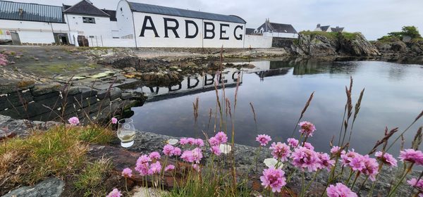 Ardbeg Distillery by null