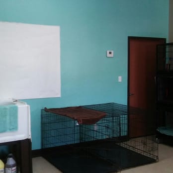 South Bark Grooming - Open space to enjoy a spa day without over crowding - Pet Sitting Near Me - Laguna Vista, Texas South Bark Grooming - Open space to enjoy a spa day without over crowding - Pet Sitting Near Me - Laguna Vista, Texas