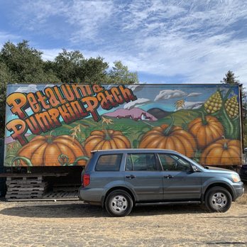 Petaluma Pumpkin Patch And Amazing Corn Maze - Pumpkin Patches Near Me - Petaluma, California Petaluma Pumpkin Patch And Amazing Corn Maze - Pumpkin Patches Near Me - Petaluma, California