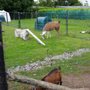 Photo of Kia Ora Farmhouse & Mini Farm