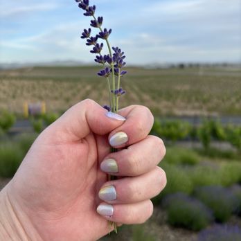 Q Spa - Sponged chrome nails - Emmy was so great in experimenting to see if we could make my inspo nails happen! - Waxing Near Me - San Francisco, California Q Spa - Sponged chrome nails - Emmy was so great in experimenting to see if we could make my inspo nails happen! - Waxing Near Me - San Francisco, California