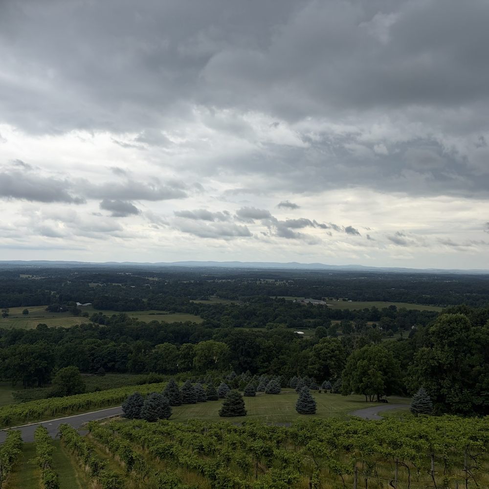 Bluemont Vineyard - Venues & Event Spaces Near Me - Bluemont, Virginia Bluemont Vineyard - Venues & Event Spaces Near Me - Bluemont, Virginia