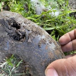 Barbosa Plumbing Services