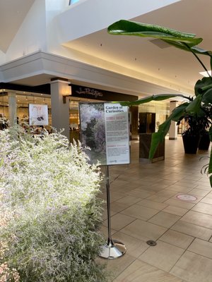 Bayview Village Shopping Centre by null