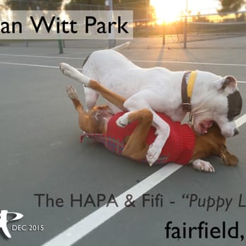 Allan Witt Park - "Hey you two, get a kennel!" - Parks Near Me - Fairfield, California Allan Witt Park - "Hey you two, get a kennel!" - Parks Near Me - Fairfield, California