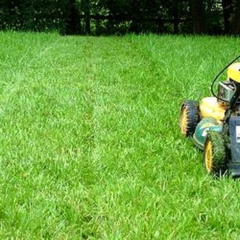 Vasquez Pro Services - a lawn mower in the grass - Landscaping Near Me Vasquez Pro Services - a lawn mower in the grass - Landscaping Near Me