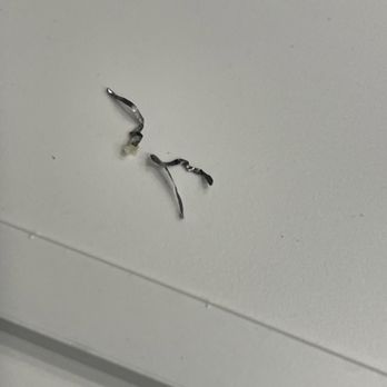 Andy's Kitchen - Sharp metal pieces that were in my garlic noodle with chicken. - Chinese Near Me - Folsom, California Andy's Kitchen - Sharp metal pieces that were in my garlic noodle with chicken. - Chinese Near Me - Folsom, California