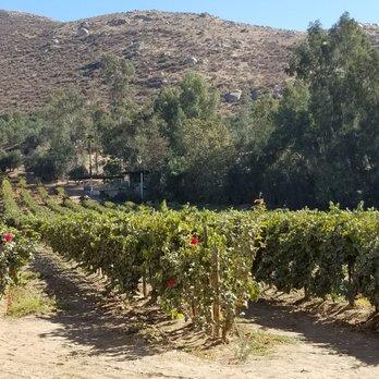 L.A. Cetto - Wine Tasting Room Near Me - Tijuana, BCN