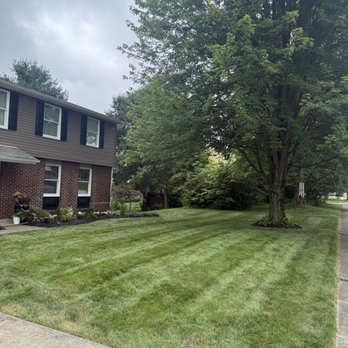 Luca V's - Lawn Services Near Me Luca V's - Lawn Services Near Me