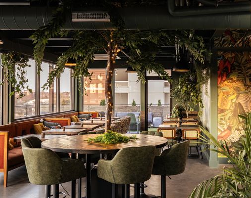 Treehouse Rooftop by null