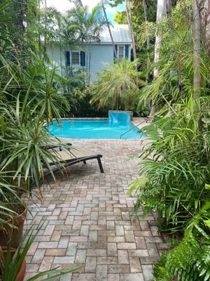 Tropical Inn by null