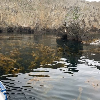 Cal Boat Diving - Wizards Hat! - Snorkeling Near Me - Ventura, California Cal Boat Diving - Wizards Hat! - Snorkeling Near Me - Ventura, California