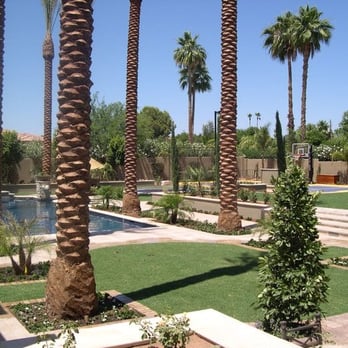 M.S. Dudley Development - palm trees and a pool - General Contractors Near Me - Scottsdale, Arizona M.S. Dudley Development - palm trees and a pool - General Contractors Near Me - Scottsdale, Arizona