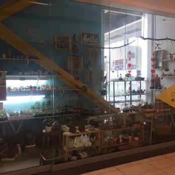 Plant It - Flowers & Gifts Near Me - Markham, Ontario