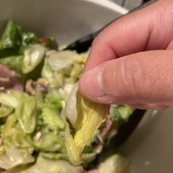Pacifica Pizza - Old soggy lettuce