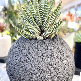 Self sustaining pot from Japan! Just add water