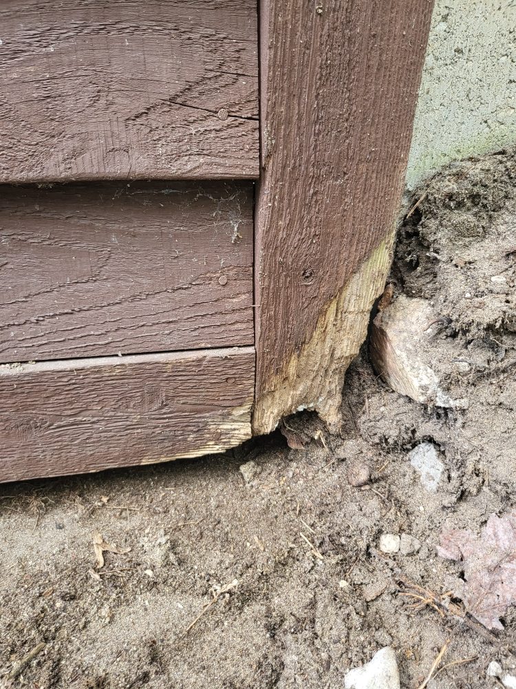 Slide of Jack of All Trades