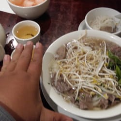 Noodle Cafe