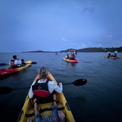 Bushtribe Eco Adventures LLP
