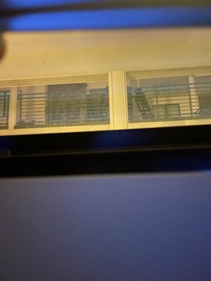 Austin Police Department